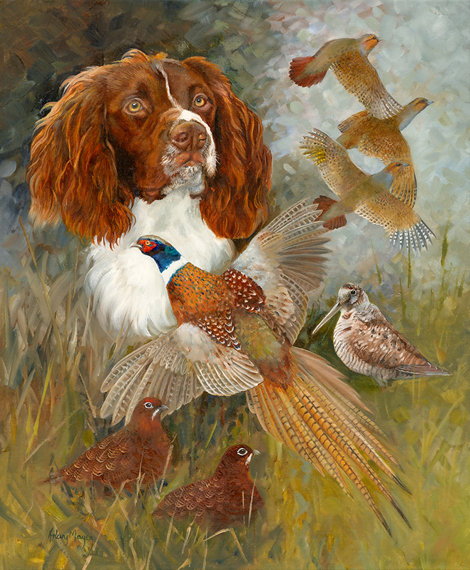 Spaniel in portrait arranged behind game birds