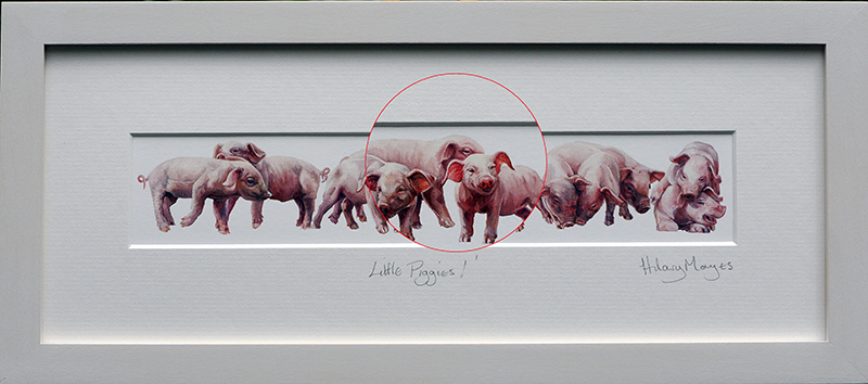 Little Piggies