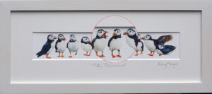 Puffin Parliament
