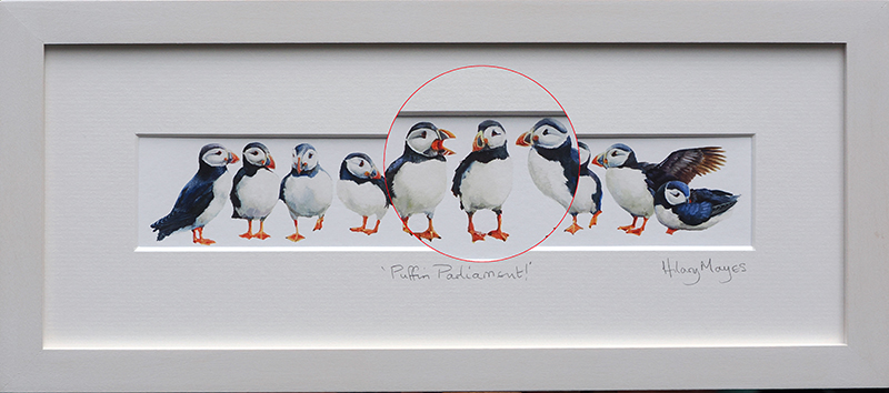 Puffin Parliament