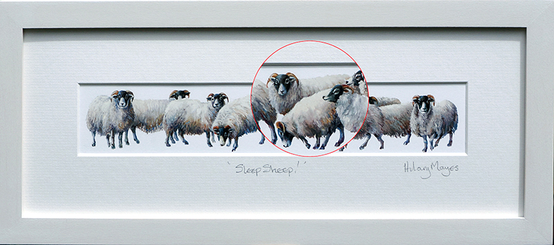 Sleep Sheep!