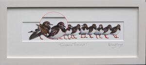 Turnstone Turnout