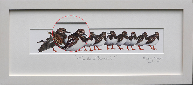 Turnstone Turnout